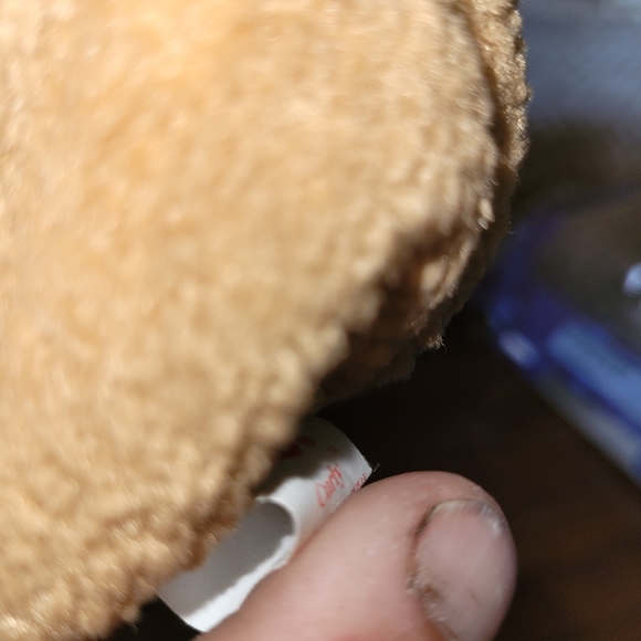 Rare curly beanie baby - Picture 4 of 5